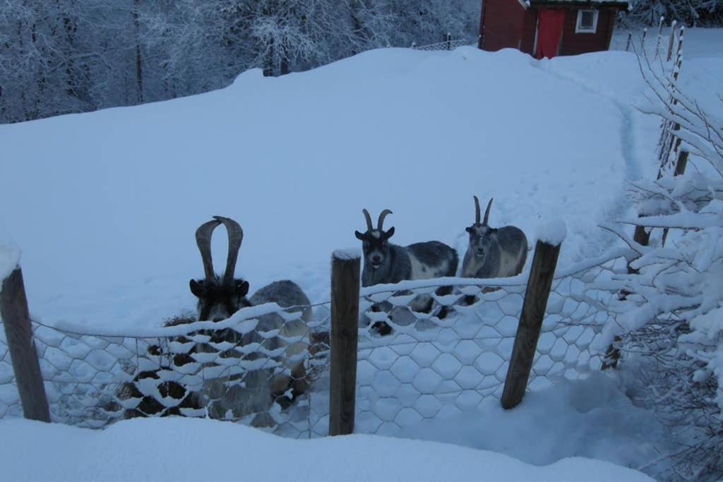 Skjerping Gardshus, Vila Lonevåg Exterior foto